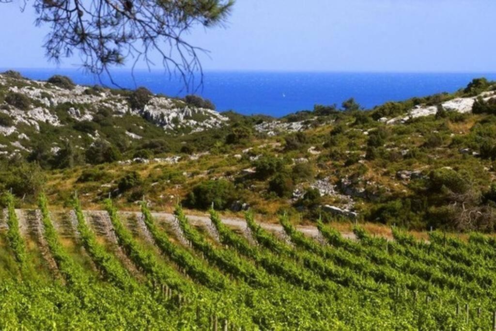 Entre Mer Et Garrigue Saint-Pierre-la-Mer  Esterno foto